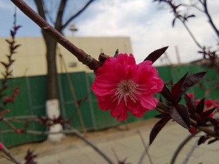 WP_20130424_007