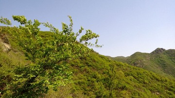 WP_20130512_047