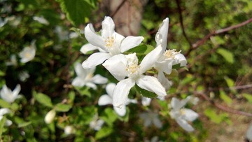 WP_20130512_060