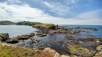 20110429527