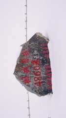 293067