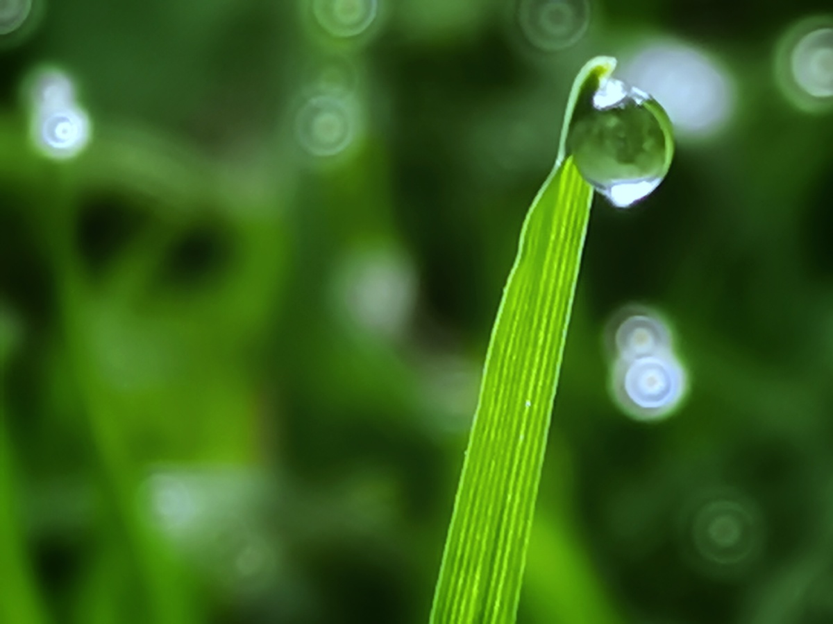 雨过天晴太阳77升