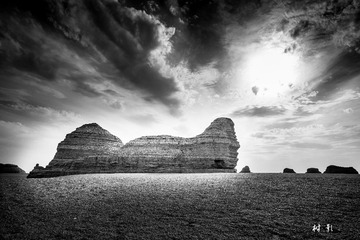 _DSC8841