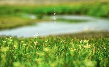 _MG_3705sss