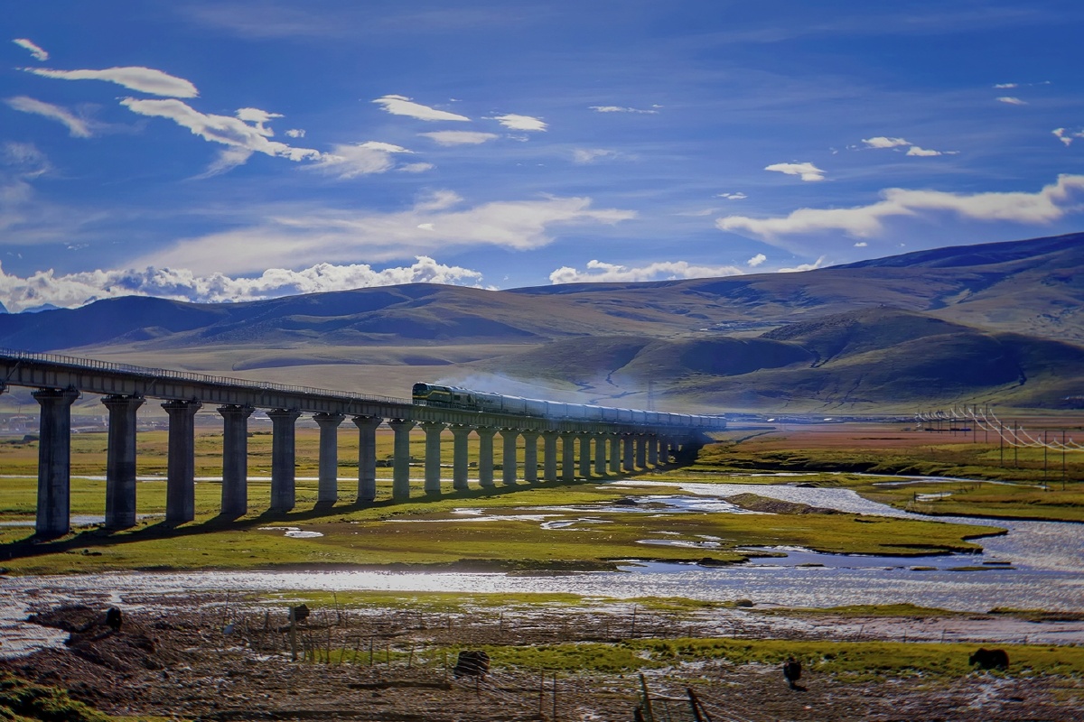 拍火车 列车驶过当雄草原
