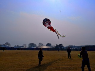 _XIS1906