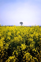 DSC_0610.jpg