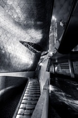 _DSC1167-2