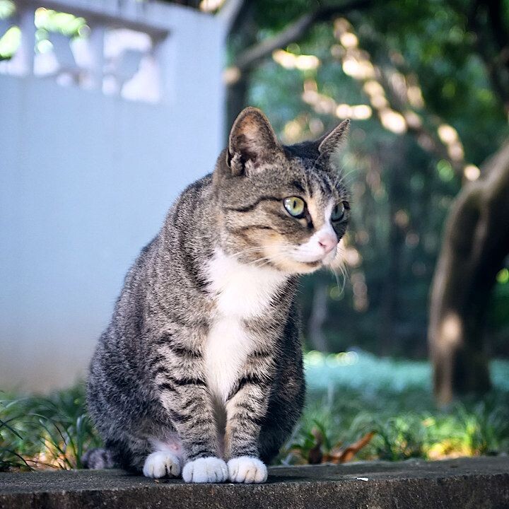 亲.是谁把你吓成这样的<br />
