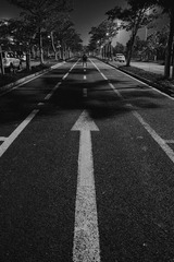 DSCF8979.jpg