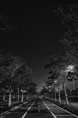 DSCF8989.jpg