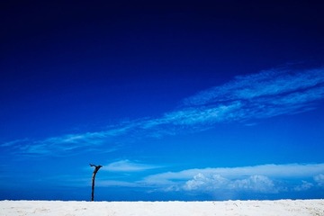 DSCF0559.jpg