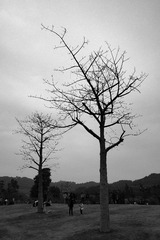 DSCF0986.jpg