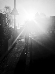 Backlighting