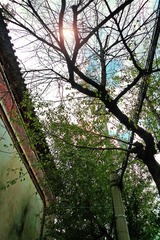 L1000534