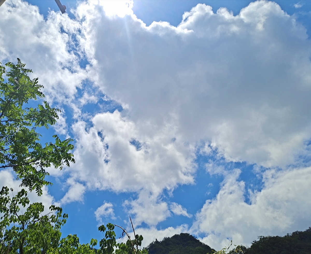 夏日阳光 - 山风姑娘 - 图虫