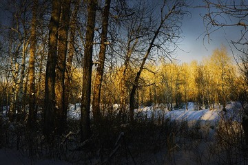 _DSC579-9