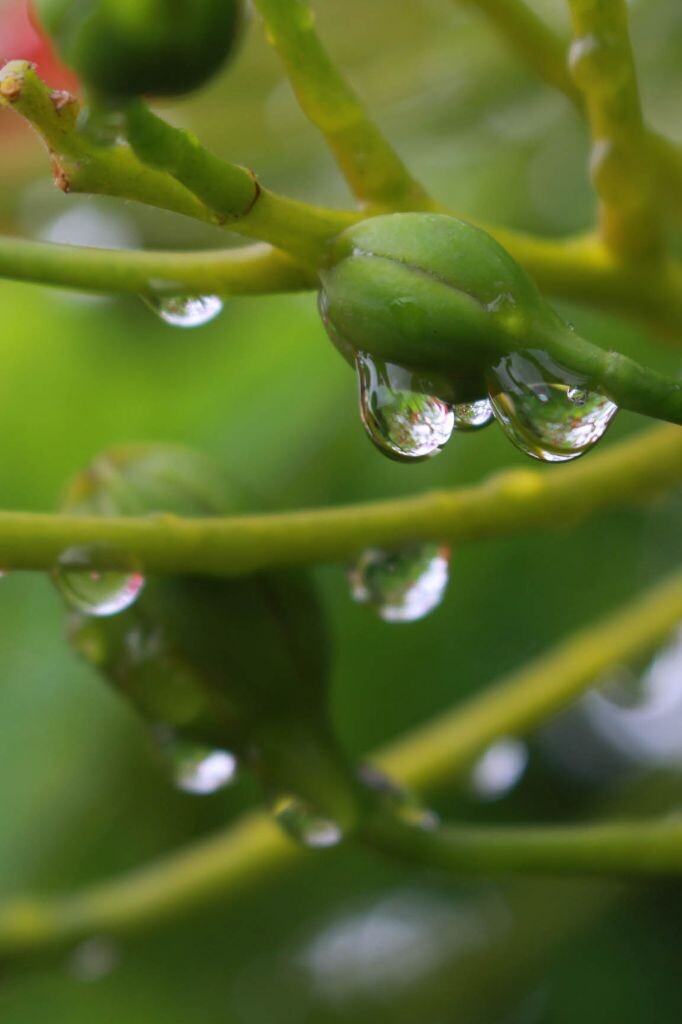 五月走在雨水上面~