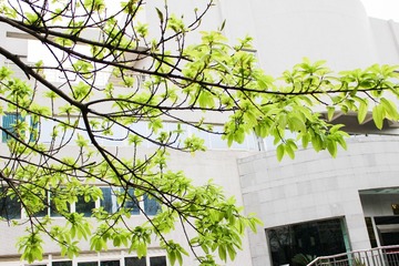 个梵蒂冈覅