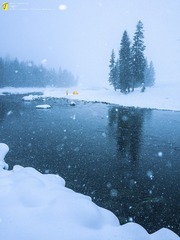 风雪之夜