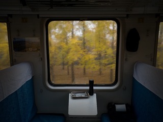 233533