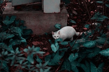 DSC02205__