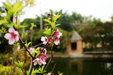 DSC03256_