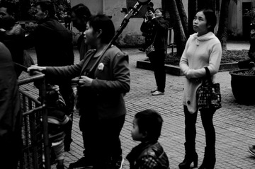 DSC03931_
