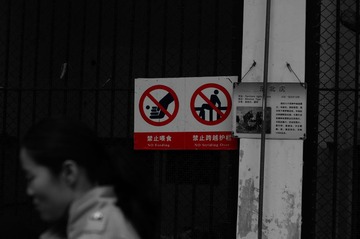DSC03940__