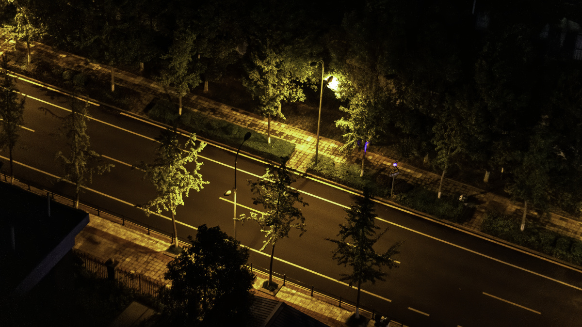 楼下安静的小路路灯默默地亮着树也默默地站着等待某一个默默走过的人