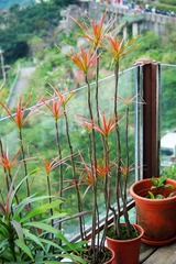 P2023075
