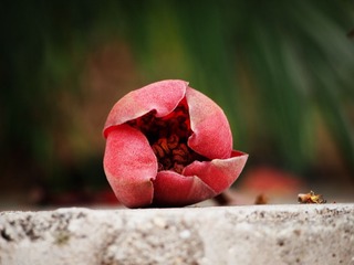 P3163443_