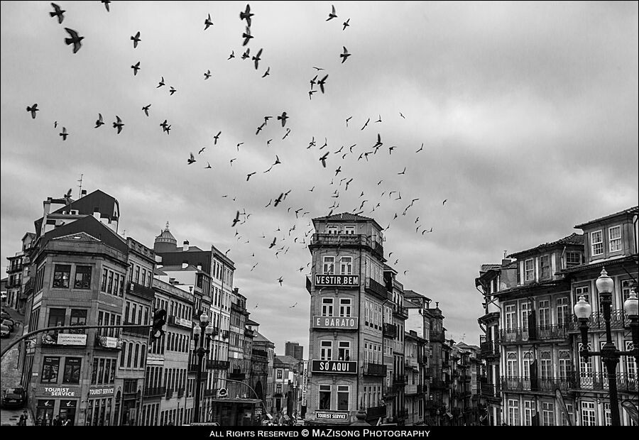 波尔图(Porto)