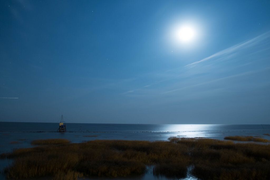 黑夜的白天
