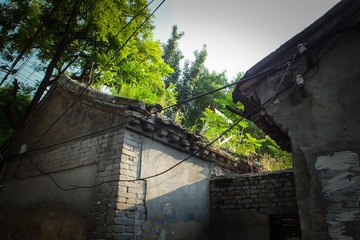 DSCF3291-1
