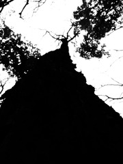 DSCF3855-1