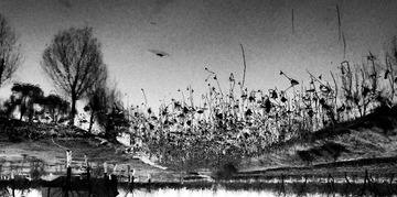 DSCF9638-1