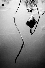 DSCF9651-1