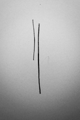 DSCF9654-1