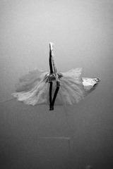 DSCF9655-1