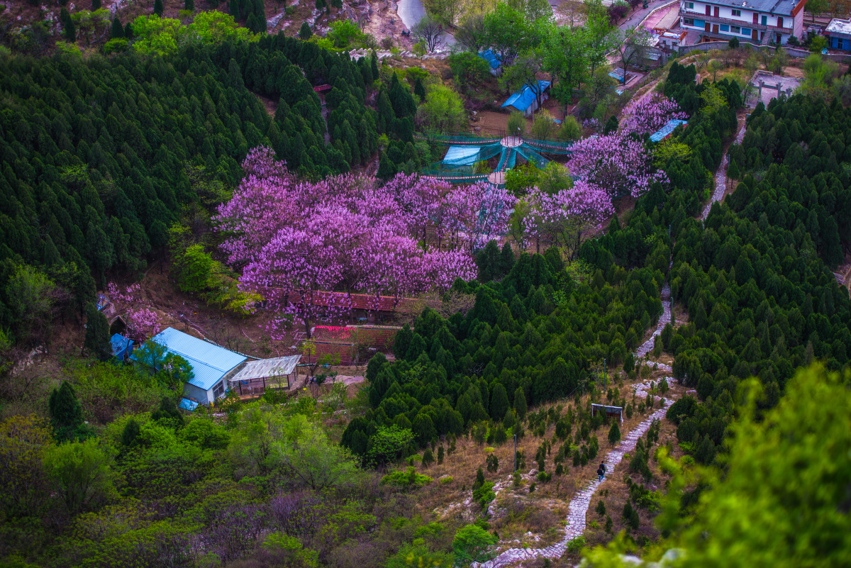 拍摄于济南回龙山