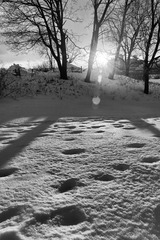 snow under sunset