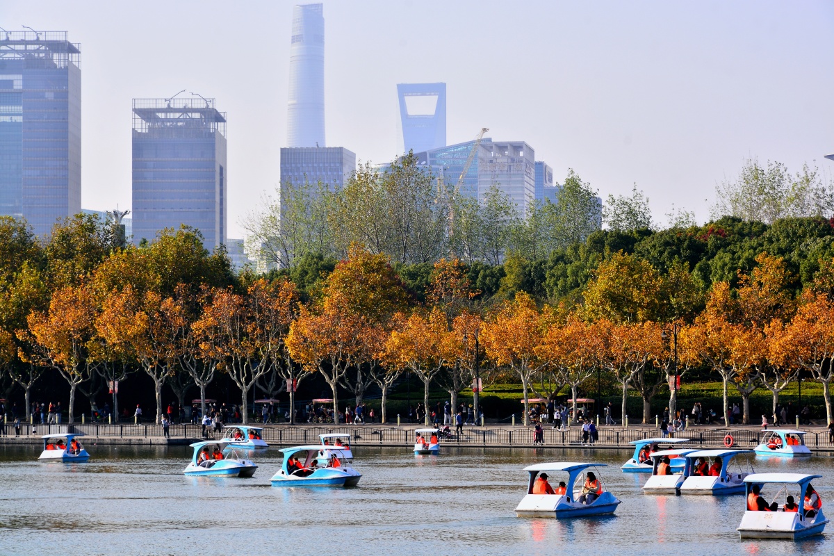 秋日暖阳似阳春世纪公园赏风景