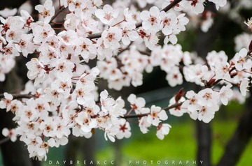 20140306003