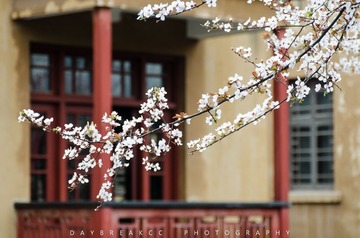 20140306004