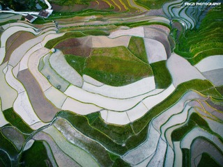DJI_0271