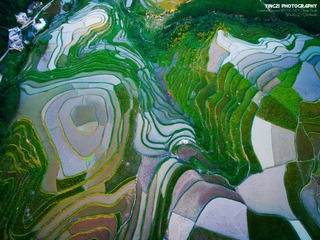 DJI_0272