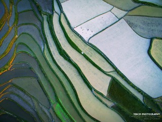 DJI_0282