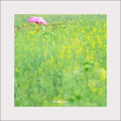 花田