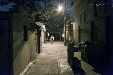 DSC_54792.jpg